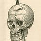 PhineusGage's avatar