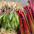 How to Prevent Food Waste