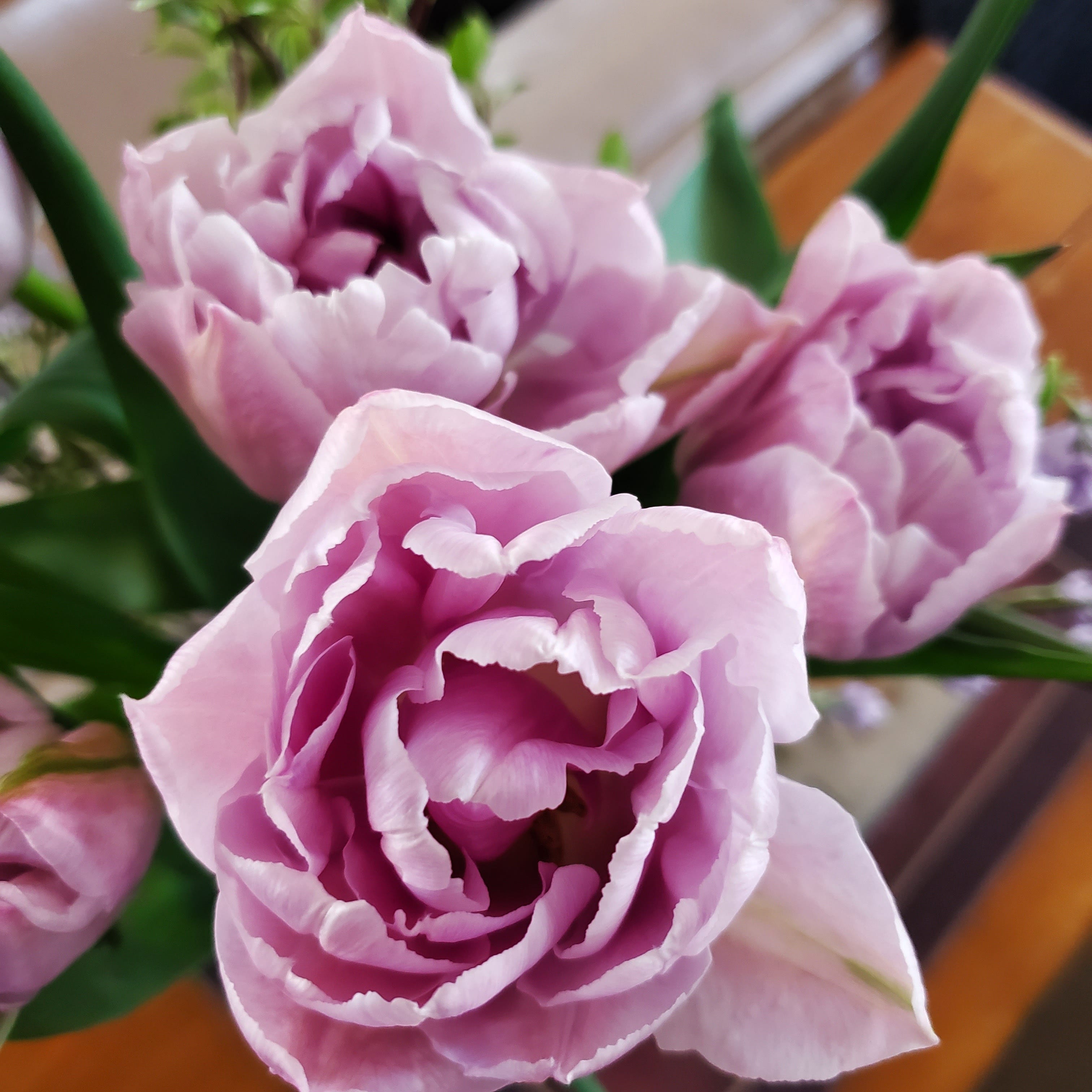 Scrubby Gully Co’s Substack