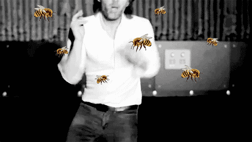 thm getting ambushed by a swarm of wasps : r/radiohead