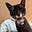 Simon Jackson's avatar