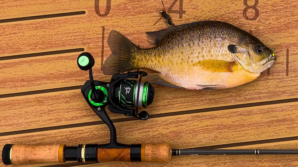 feeder reels shimano Shimano Nasci FD Spinning Reel