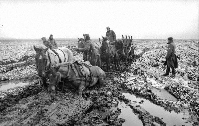 https://historycollection.com/wp-content/uploads/2017/07/Stuck-in-the-mire.-Napoleon-faced-the-same-challenges-when-invading-Russia.-warhistoryonline.jpg