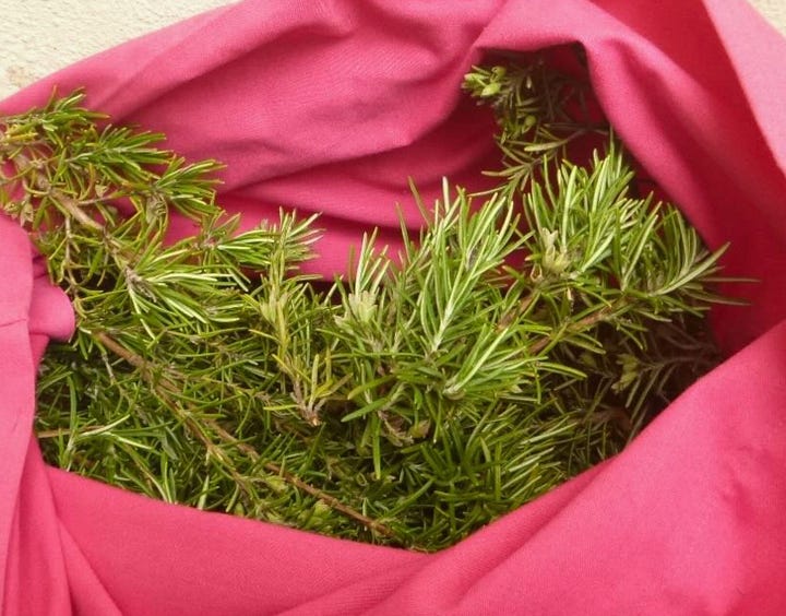Various containers for harvest of leafy stems from wicker basket to carrier bag and stripey or pink pillowcases