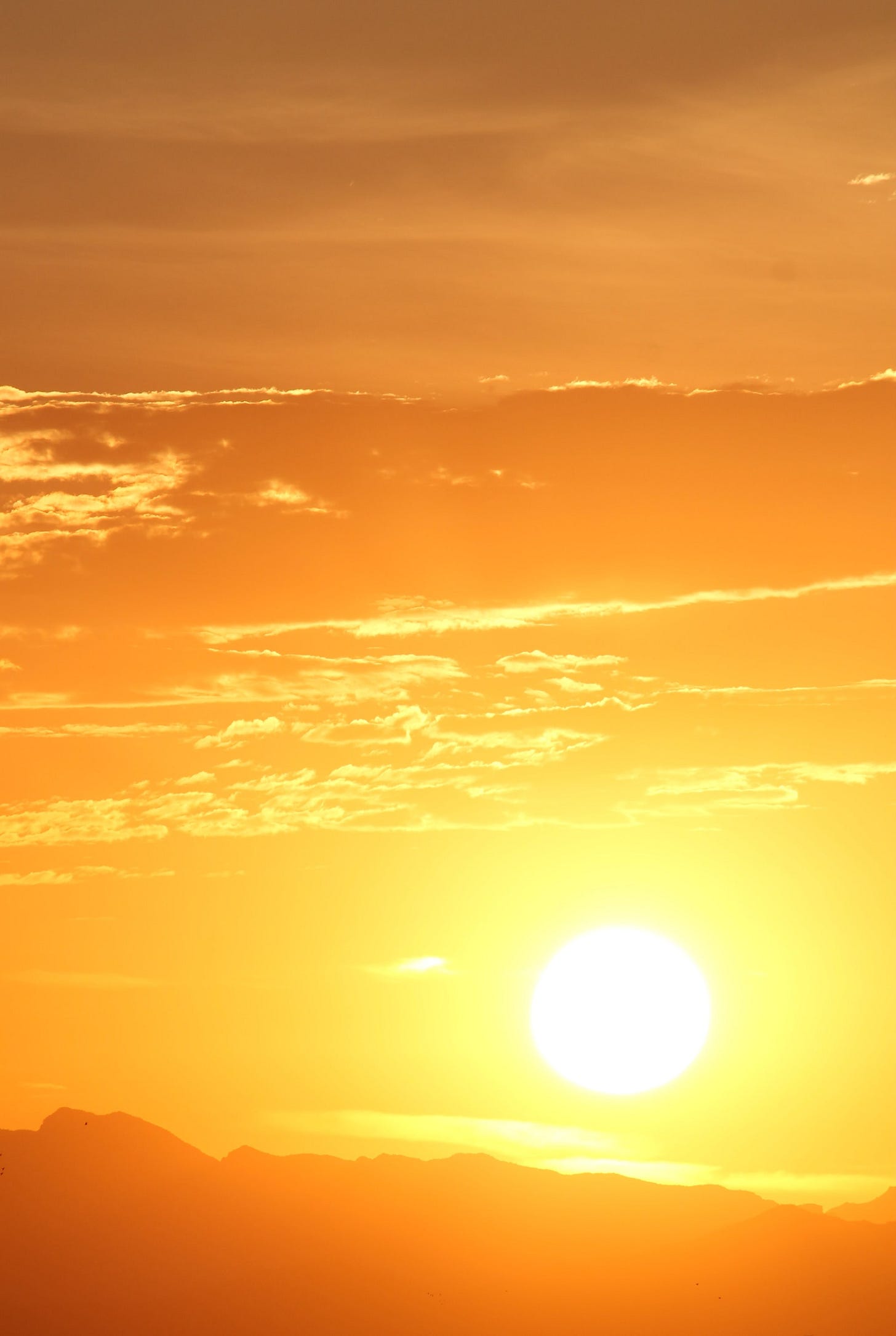 The Viability of Space Solar Energy