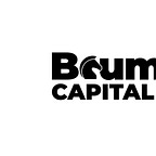 Capital Flows and Asset Markets