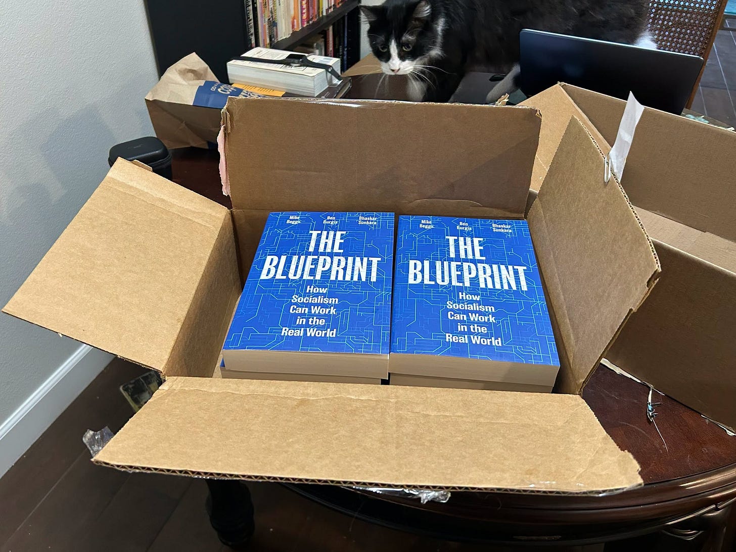 A box of copies of the book, and my cat Ash prowling around behind it A box of copies of the book, and my cat Ash prowling around behind it