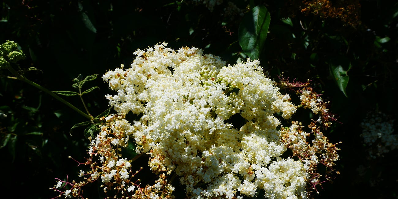 It's Not My Revolution if Nobody Does the Dishes