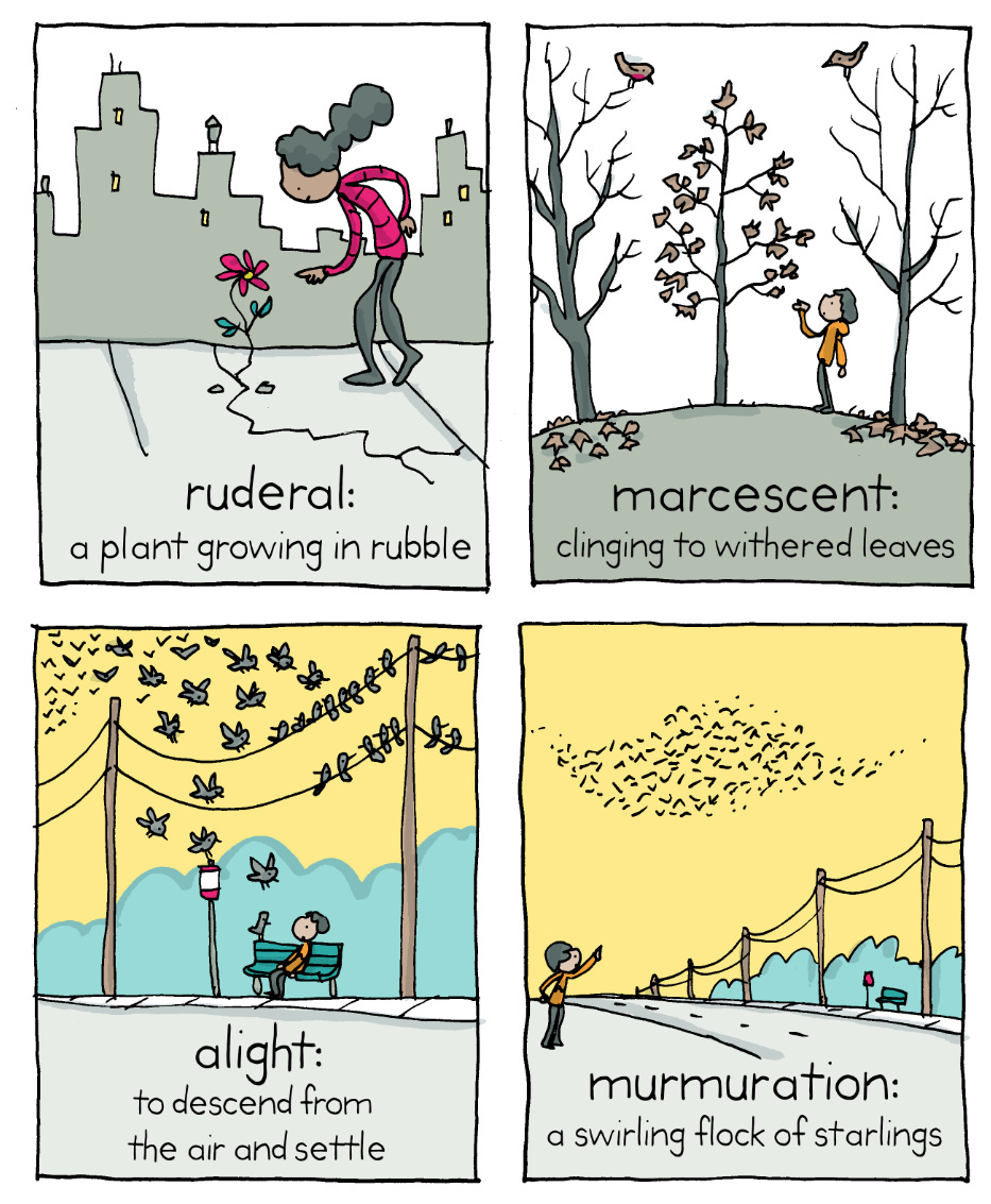 Comic Verse Example Making a Poetry Comic - by Grant Snider - Incidental Comics