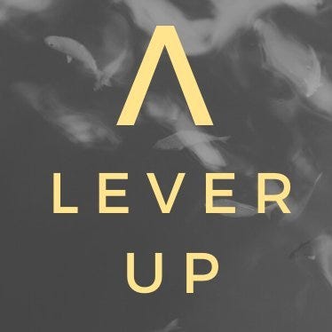 Lever Up Newsletter