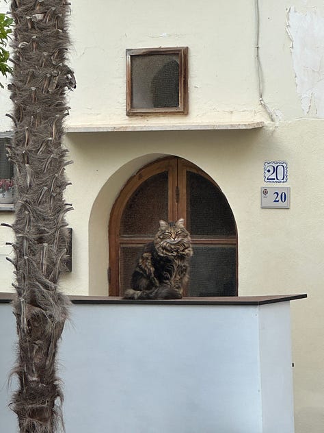 Sperlonga City Center