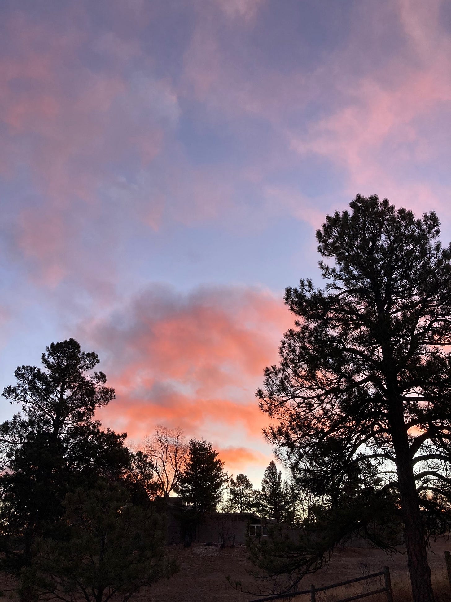 Dawn Clouds, 2026-02-18