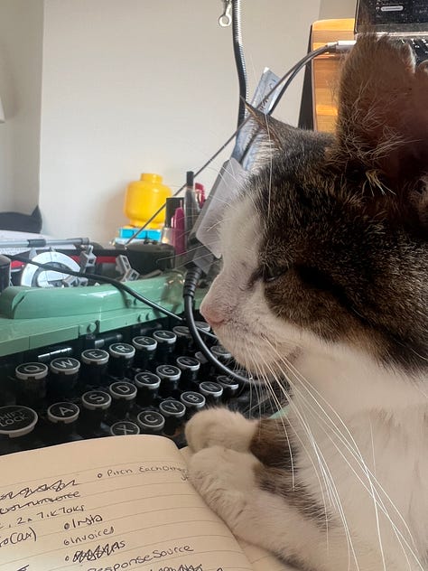 Pictures of Swirls, a tabby and white cat, sitting next to a LEGO typewriter as if about to write, sitting curled up on a keyboard, and asleep on a blanket