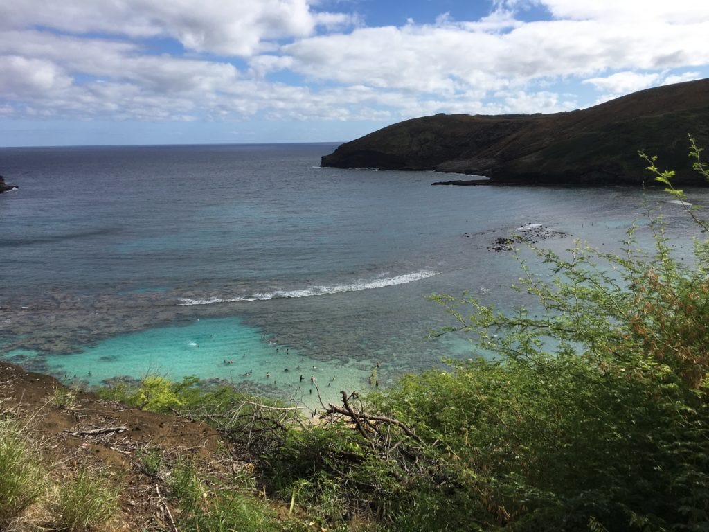 Snorkel Hawaii Snorkel Hawaii