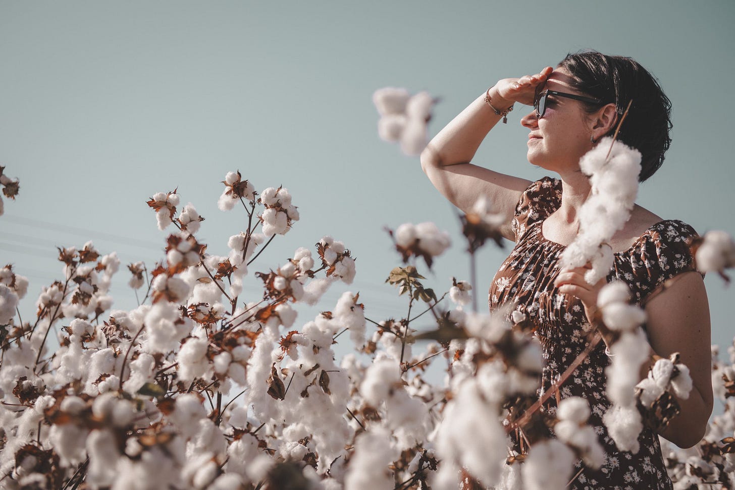 A imagem mostra uma pessoa em pé no meio de um campo de algodão. As plantas estão carregadas de bolinhas brancas e fofas, prontas para a colheita, e se estendem por toda a paisagem ao redor. A pessoa veste um vestido estampado e usa óculos escuros. Com uma das mãos, segura um galho de algodão; com a outra, faz sombra sobre os olhos, como quem observa algo ao longe em um dia ensolarado. O céu está limpo, azul claro, transmitindo a sensação de calor e tranquilidade.