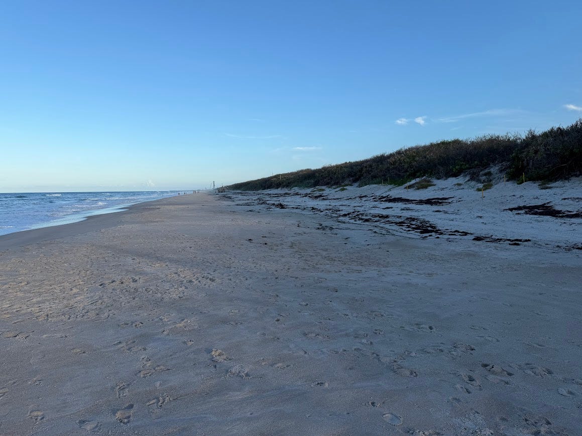 A stretch of beach and shoreline with dunes on the right.