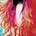 Jarred Taylor's avatar
