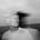 David Miller's avatar