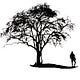 Tree Top Ministries Newsletter
