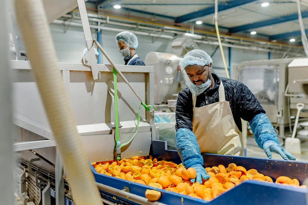 Zweites Leben für Orangenschalen bei PeelPioneers
