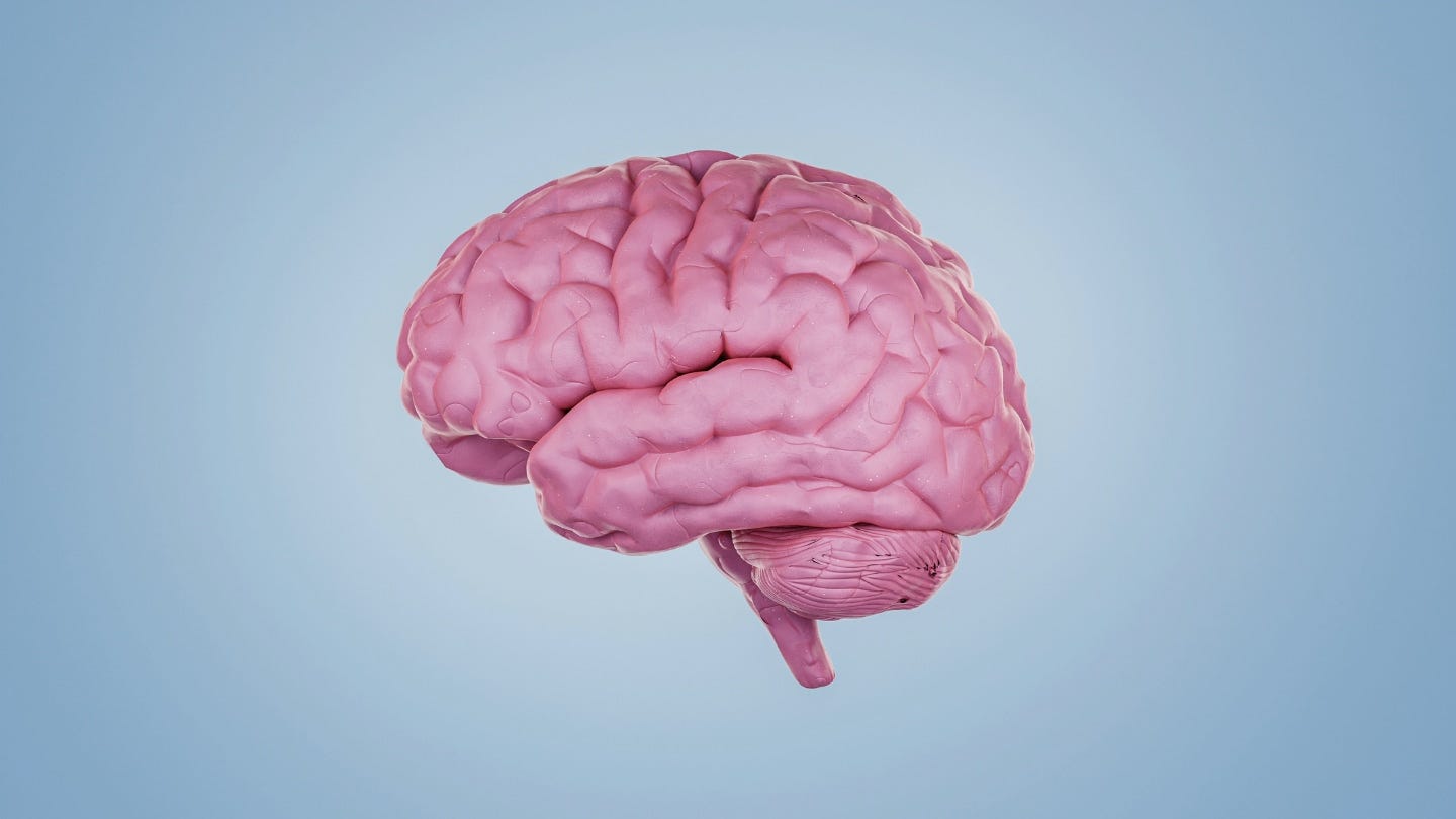 What a look at more than 3,000 kinds of cells in the human brain tells us What a look at more than 3,000 kinds of cells in the human brain tells us