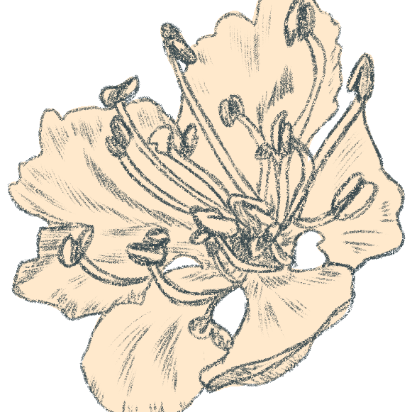 Queer Plant Poetry 