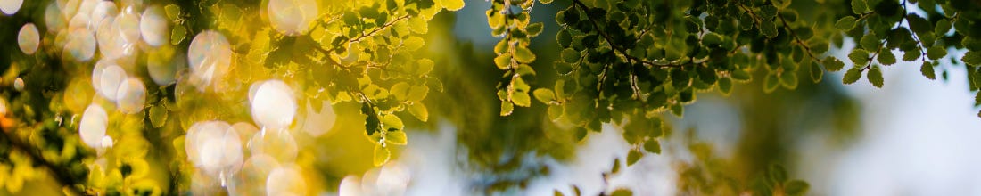 Laziness, Impatience, Hubris, and AI (2025)