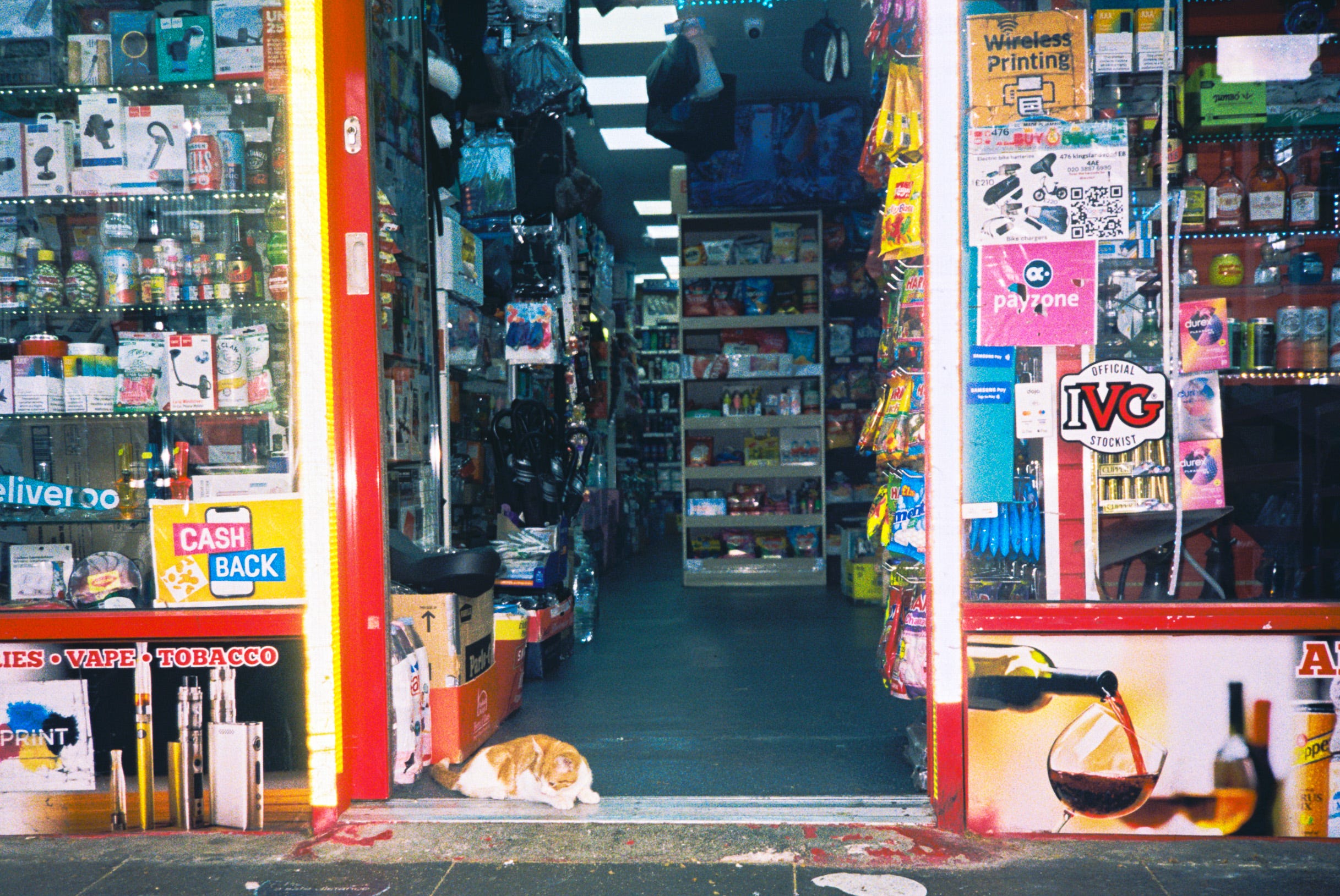 Off License Cats