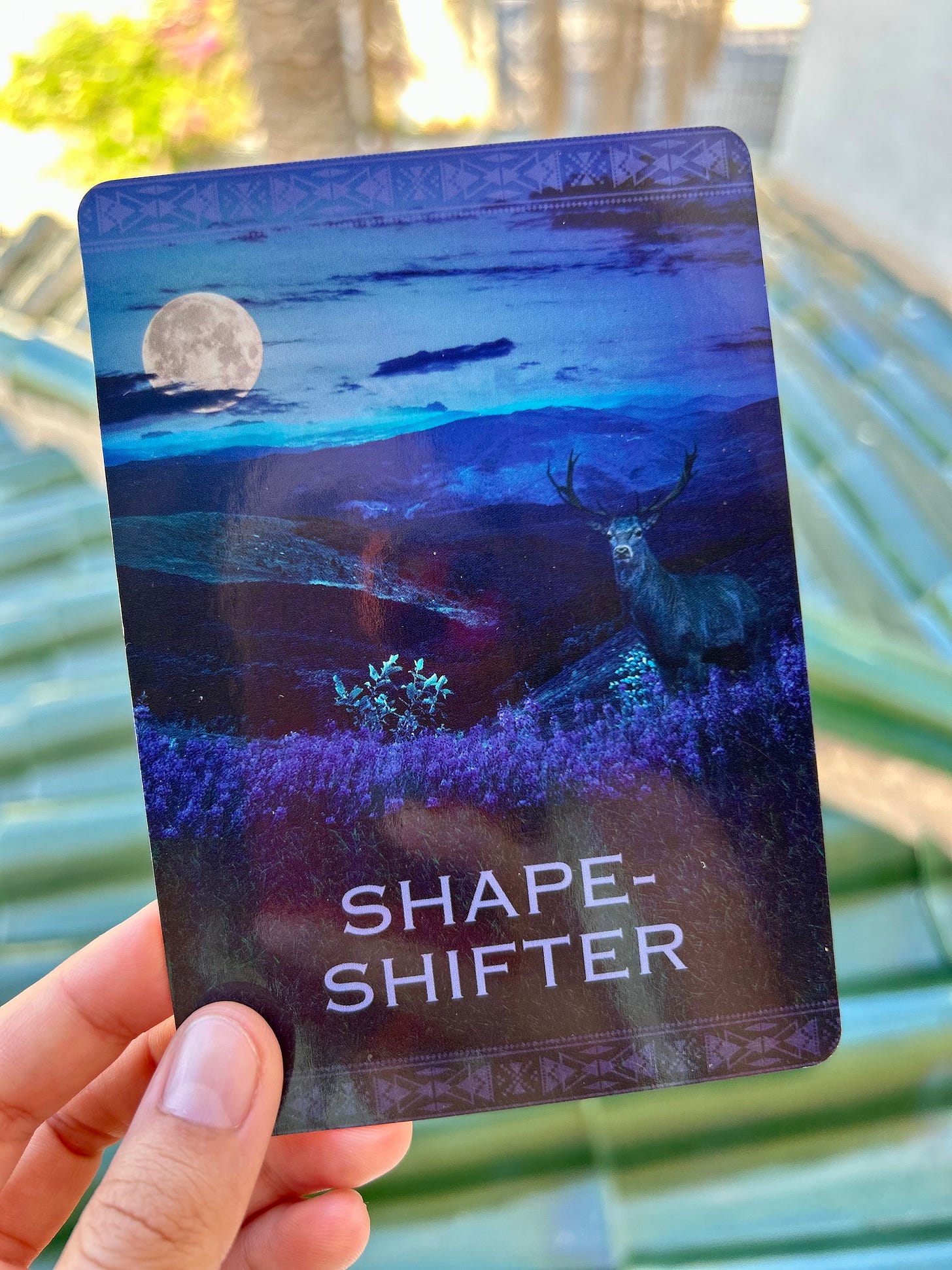 Shape-Shifter - Native Spirit oracle cards