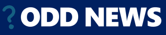 Odd News Roundup