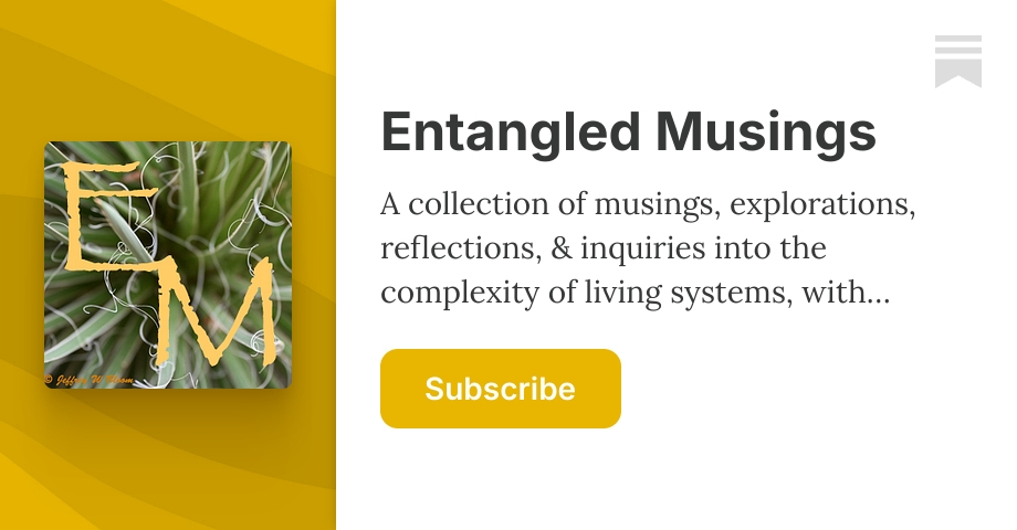 Entangled Musings | Jeff Bloom | Substack