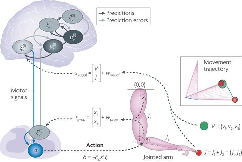 Figure 2: A demonstration of cued reaching movements. Figure 2: A demonstration of cued reaching movements.