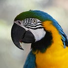 On Stochastic Parrots: Do LLMs Understand What They Say?