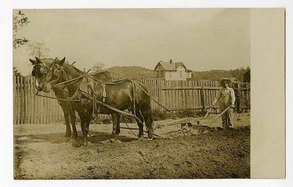 man with two horses pulling a plow | National Museum of American History