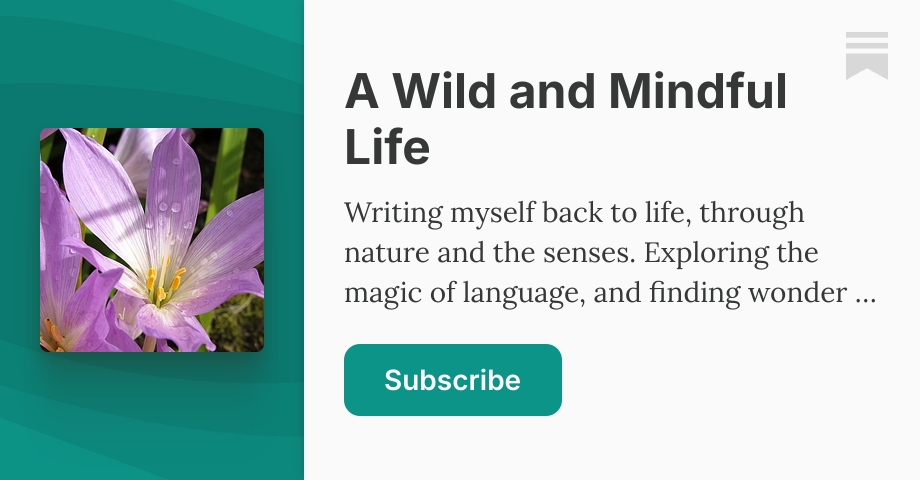 A Wild and Mindful Life | Anna Bell | Substack