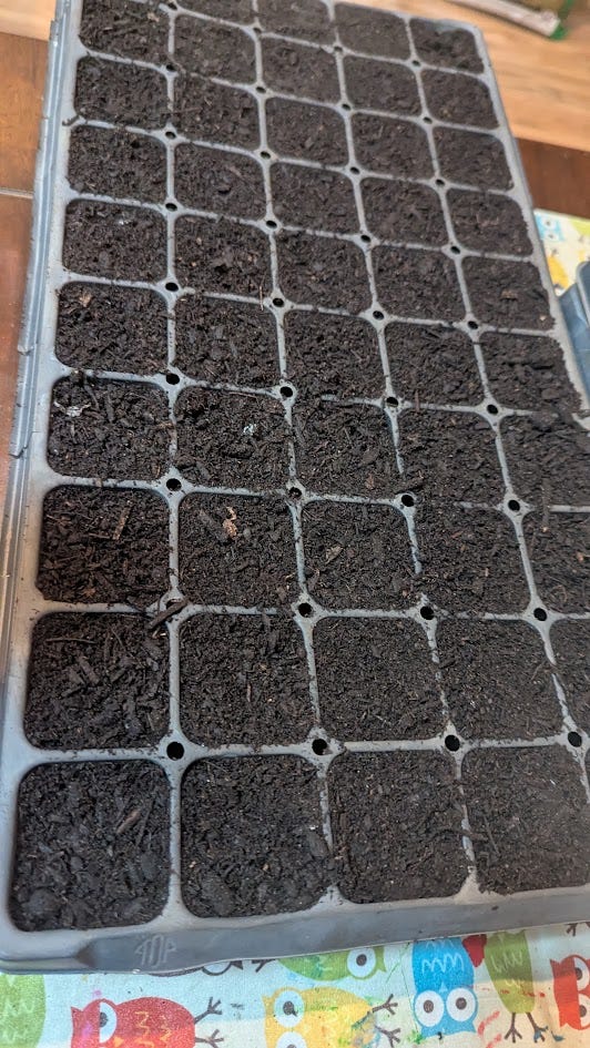 4 images of a seedling flat, the tray to go under it, soil in the flat, and a pencil poking a hole in one cell of the flat.