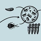 Oxford tackles Bundibugyo, detecting Cyclospora, & 500k comments points to "no"