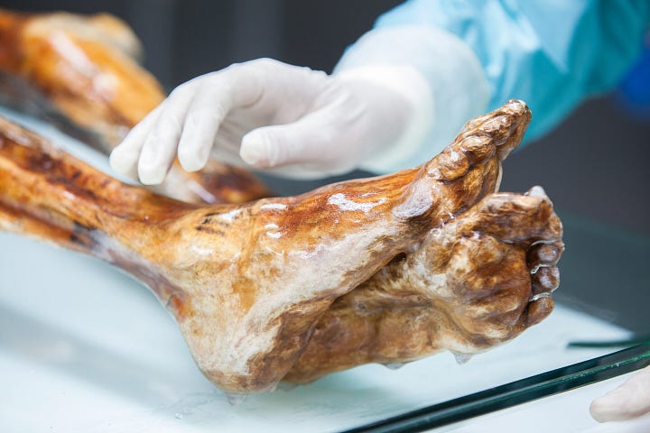 The Iceman mummy is preserved in a refrigeration chamber at a constant temperature of -6° C and a relative humidity of 99%. Credit: South Tyrol Museum of Archaeology / Eurac Research/Marion Lafogler