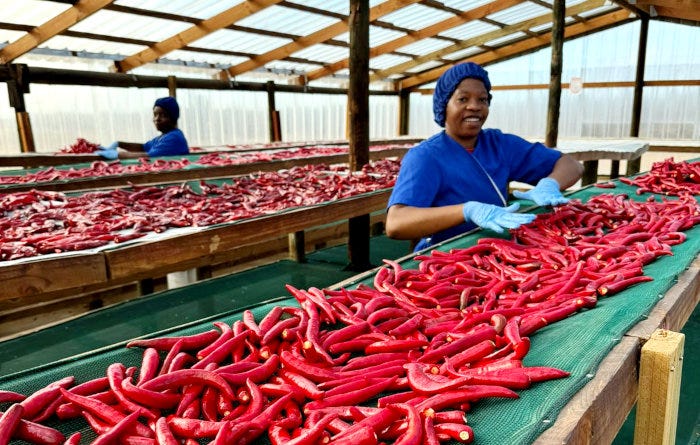 Employees at Fynbos's production facility. Employees at Fynbos's production facility.