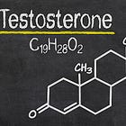 The Effects of Testosterone on the Female Brain