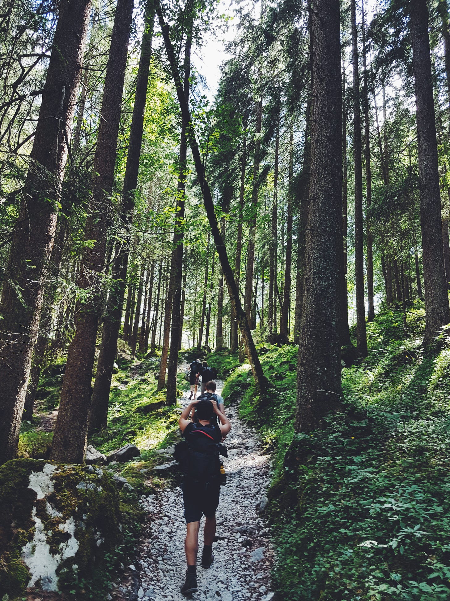 Ascending a steep trail