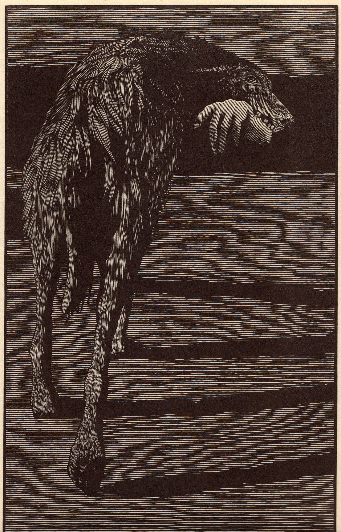 The Death of Jezebel