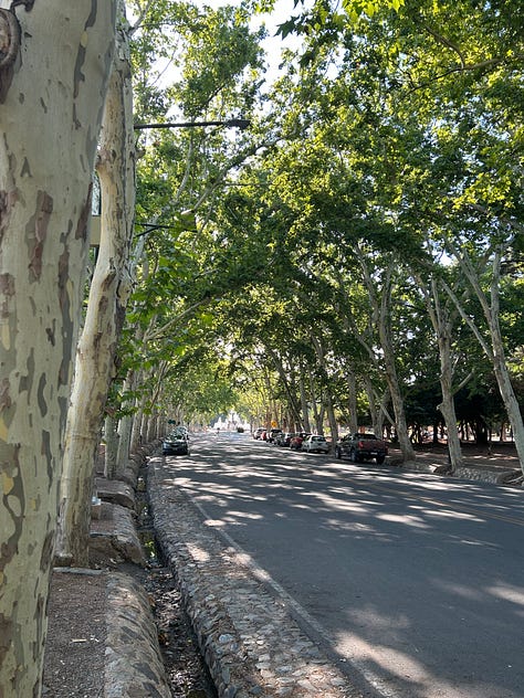 Activities in Mendoza