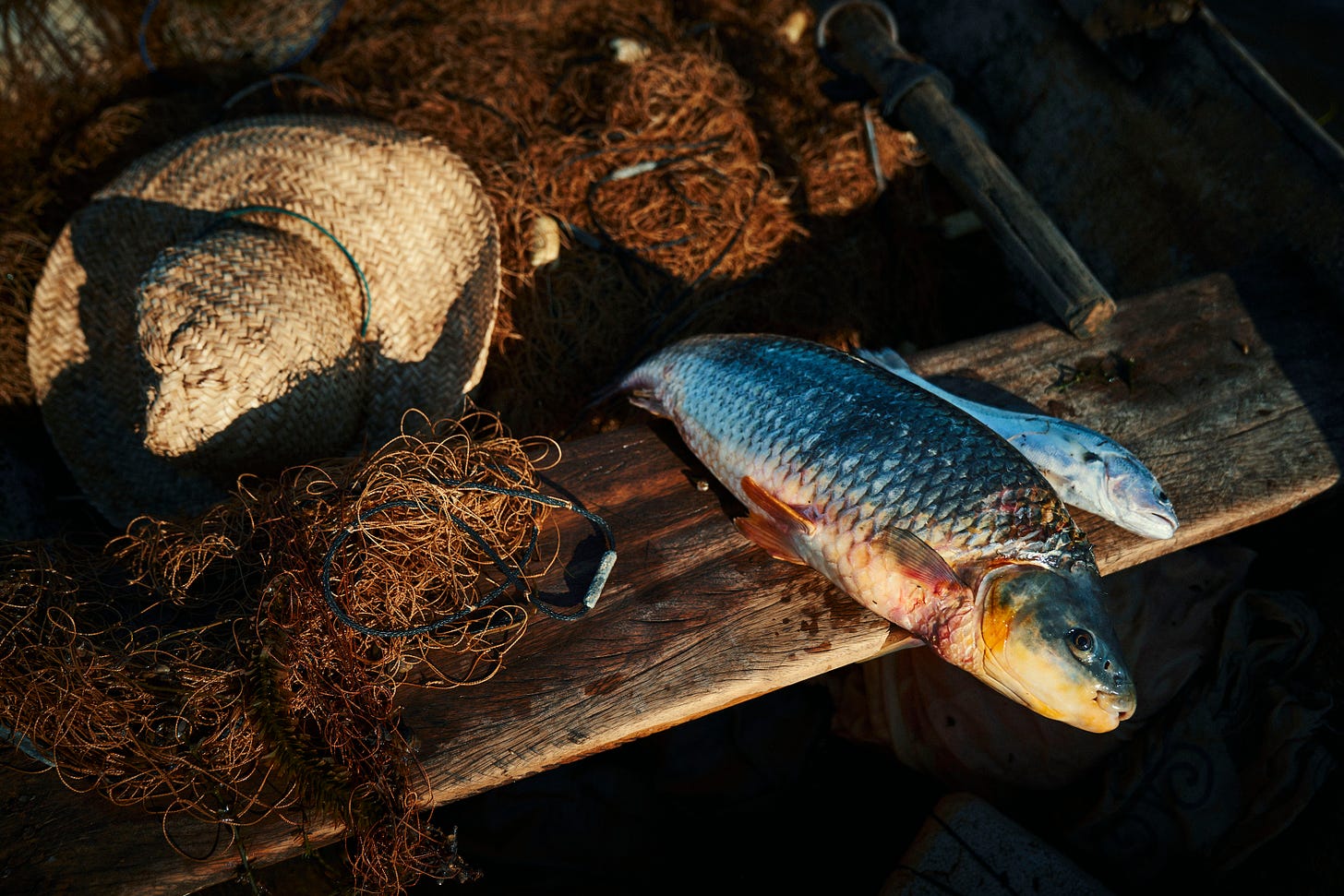 Two freshly caught fish lie on a wooden surface next to a straw hat and tangled fishing nets, with warm sunlight highlighting the scene.