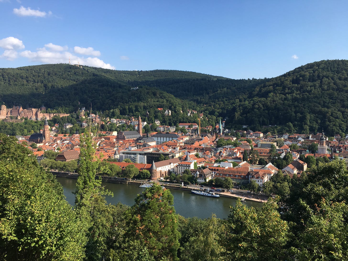 View of Heidelberg's old city from above, as viewed from the Philosophenweg across the river. It is a town with a lot of red roofs in a river valley. Spires extend above some of the lower buildings. The half-destroyed castle is at the far left above the town, in the foothills.