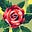 Harat Zhr's avatar