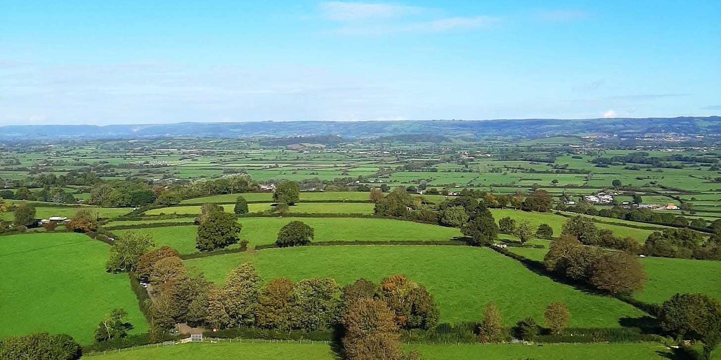 From the top of the TOR - The Creatrix Experience ©2026 Elizabeth des Roches