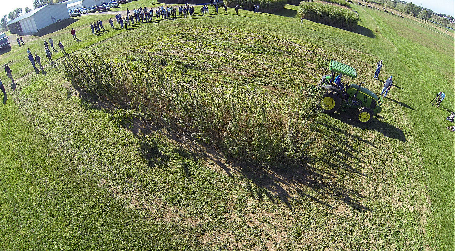 Hemp could change 100 years of inequality in HCBU land-grant funding