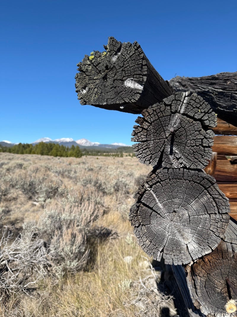 In the foreground there are the end of old logs on a barn, sage ground and mountians in the distance. 