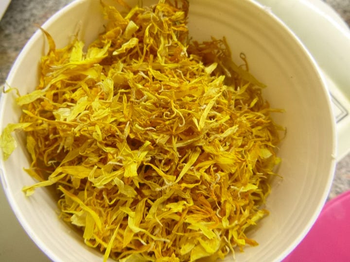 Orange daisy-like flowers of marigold and a bowl of dried petals